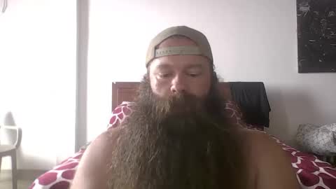 beardeddonkey88 online show from November 19, 3:56 pm