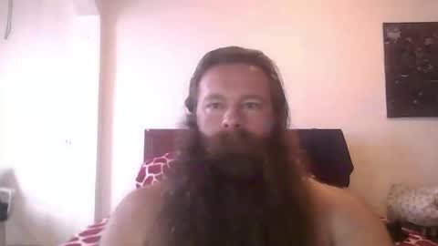beardeddonkey88 online show from November 17, 12:52 pm