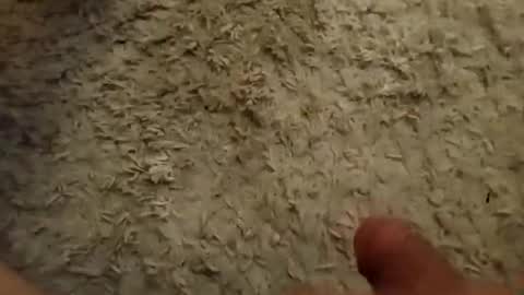 beatmee332 online show from November 23, 2:55 am