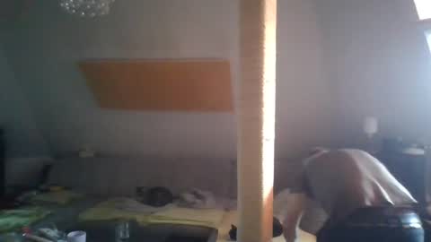 benizio online show from December 8, 1:36 pm