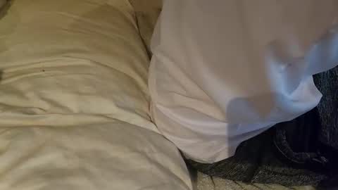 bentpilot online show from October 30, 11:33 am