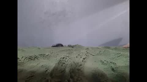 beobenshauna online show from November 3, 12:52 pm