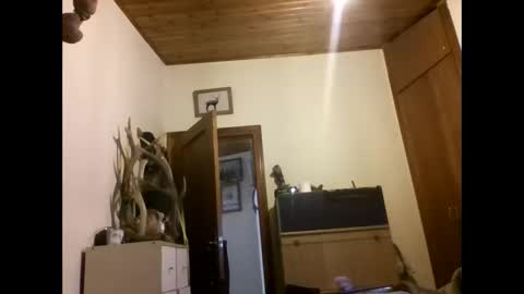 bernichaoss77 online show from January 2, 12:35 pm