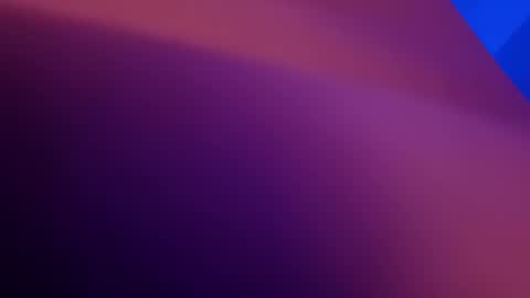LilHoeBag online show from September 21, 4:18 pm