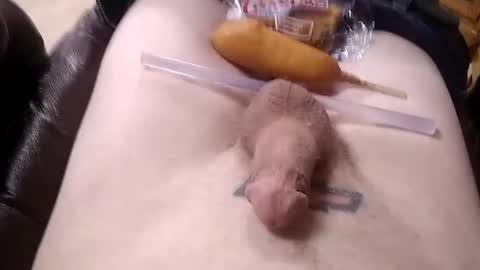 bicuriousbottomwy online show from February 7, 3:55 am