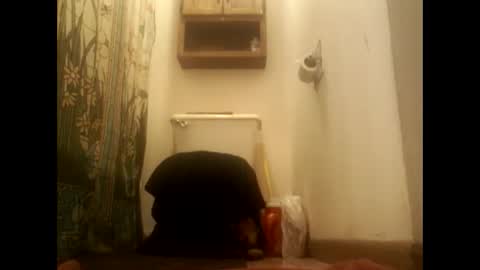 Snapshot of bidaddy5959 chatting on October 5, 4:27 am bidaddy5959 online show from October 5, 4:27 am