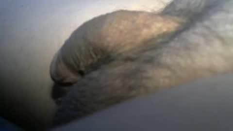 big_ed_m online show from November 11, 8:03 pm