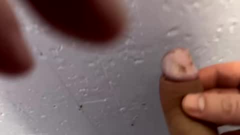 bigbiglarge1 online show from January 13, 3:34 am