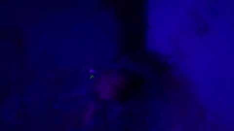 bigblu659 online show from September 17, 2:34 am