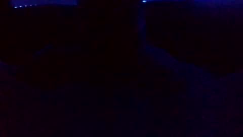 Hunny online show from December 11, 7:21 am