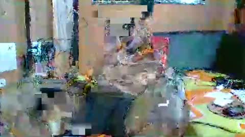 alexis online show from January 13, 5:23 am