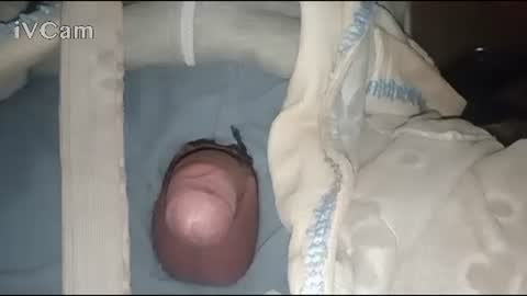 Big online show from February 3, 4:14 am