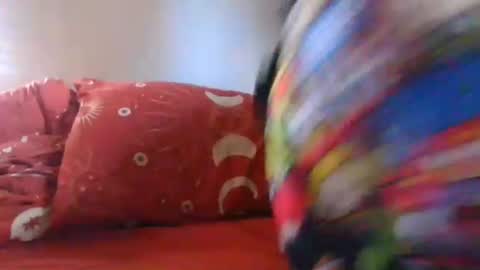 Sir Big dick B online show from March 2, 4:47 pm