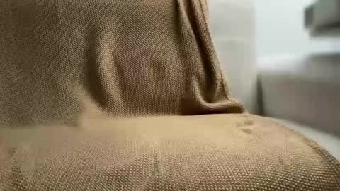 bigfuckincock38 online show from February 15, 6:27 pm