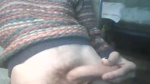 Snapshot of bigpenix chatting on December 21, 3:25 am bigpenix online show from December 21, 3:25 am
