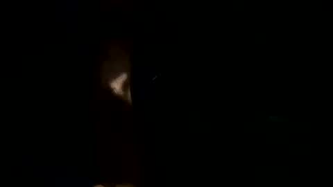 Floppyphallus online show from December 6, 5:53 am