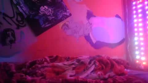 B Misty online show from January 28, 8:04 am