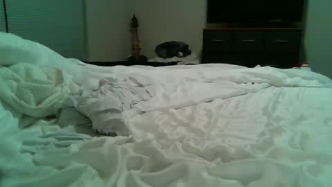 Snapshot of bjr1285 chatting on March 11, 7:37 am Special Big online show from March 11, 7:37 am