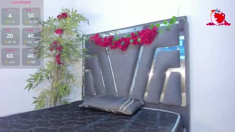 Snapshot of black_rose02 chatting on February 19, 11:28 am B L A C K R O S E online show from February 19, 11:28 am