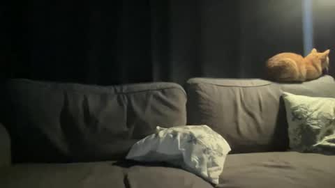 BlIdoL online show from November 24, 6:47 am