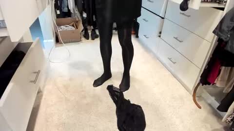 Blue Kenyi online show from January 31, 6:57 pm