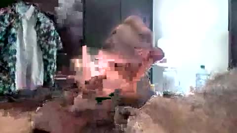 bluespycy online show from March 24, 7:35 am