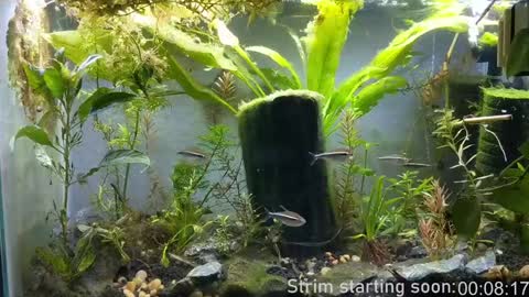 Booker Baxton online show from December 25, 4:01 am