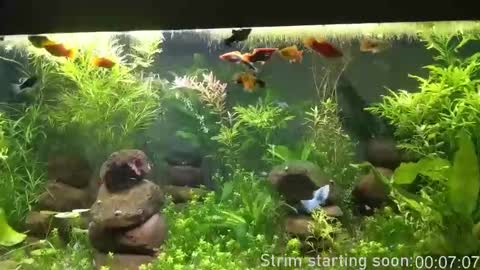 Booker Baxton online show from October 7, 2:59 am