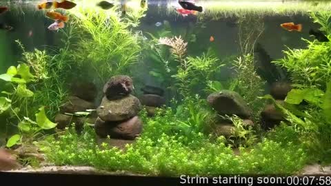 Booker Baxton online show from December 8, 4:04 am