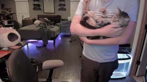 Booker Baxton online show from October 11, 3:32 am