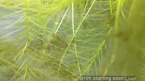 Booker Baxton online show from December 17, 4:12 am