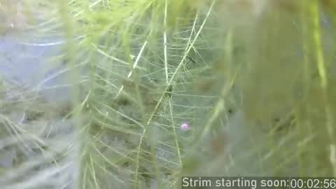 Booker Baxton online show from September 18, 3:08 am