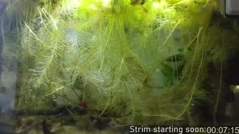 Booker Baxton online show from January 15, 4:04 am