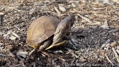 Booker Baxton online show from December 21, 4:09 am