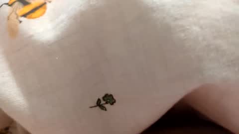 Borderslad1101 online show from October 8, 6:56 pm