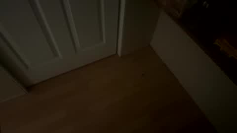 BoyfriendDyck online show from October 26, 6:37 am