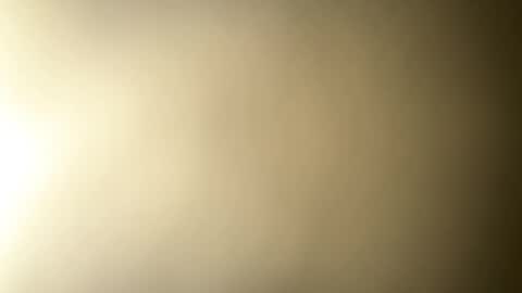 BRUCE online show from February 10, 1:24 am