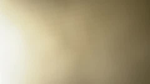 BRUCE online show from February 19, 12:14 am