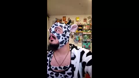 bullbawser online show from December 19, 8:33 am