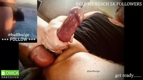 Bull. online show from February 21, 4:13 am