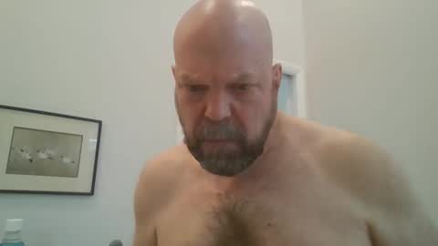 bulldog302w online show from February 20, 4:31 pm