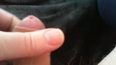 bullemoe online show from January 11, 8:40 am