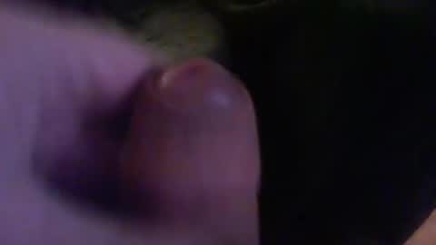 bullemoe online show from December 11, 12:24 am