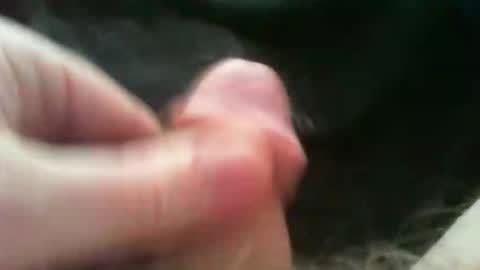 bullemoe online show from October 10, 1:38 pm