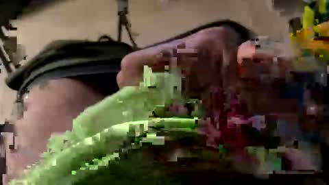 bxbomber2012 online show from October 25, 12:12 am