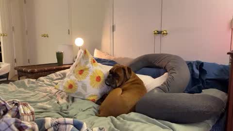 c2cmee online show from March 9, 4:39 am