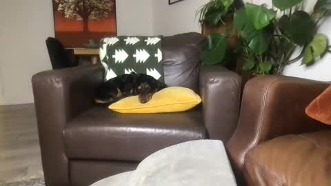 CamDoAttitude online show from November 6, 11:19 pm