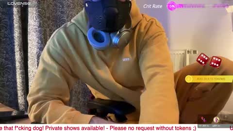 Snapshot of camdogfr chatting on January 9, 11:45 pm camdogfr online show from January 9, 11:45 pm