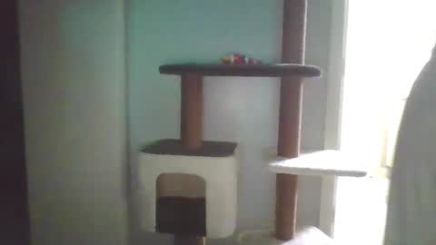 cammyman6900 online show from September 13, 4:13 am