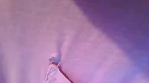 cammyman6900 online show from October 7, 2:43 pm